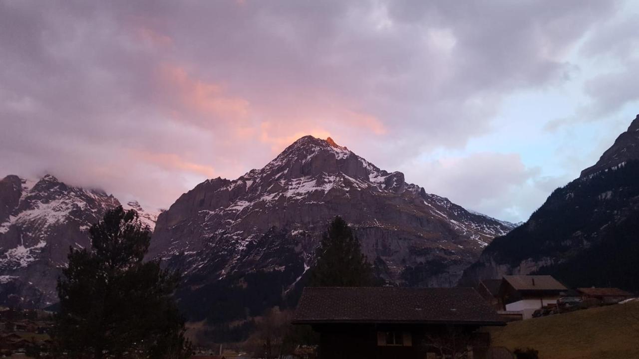 Chalet Waergistal Grindelwald Eksteriør bilde