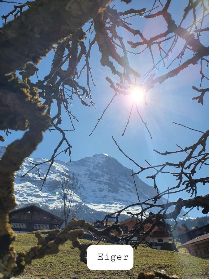 Chalet Waergistal Grindelwald Eksteriør bilde