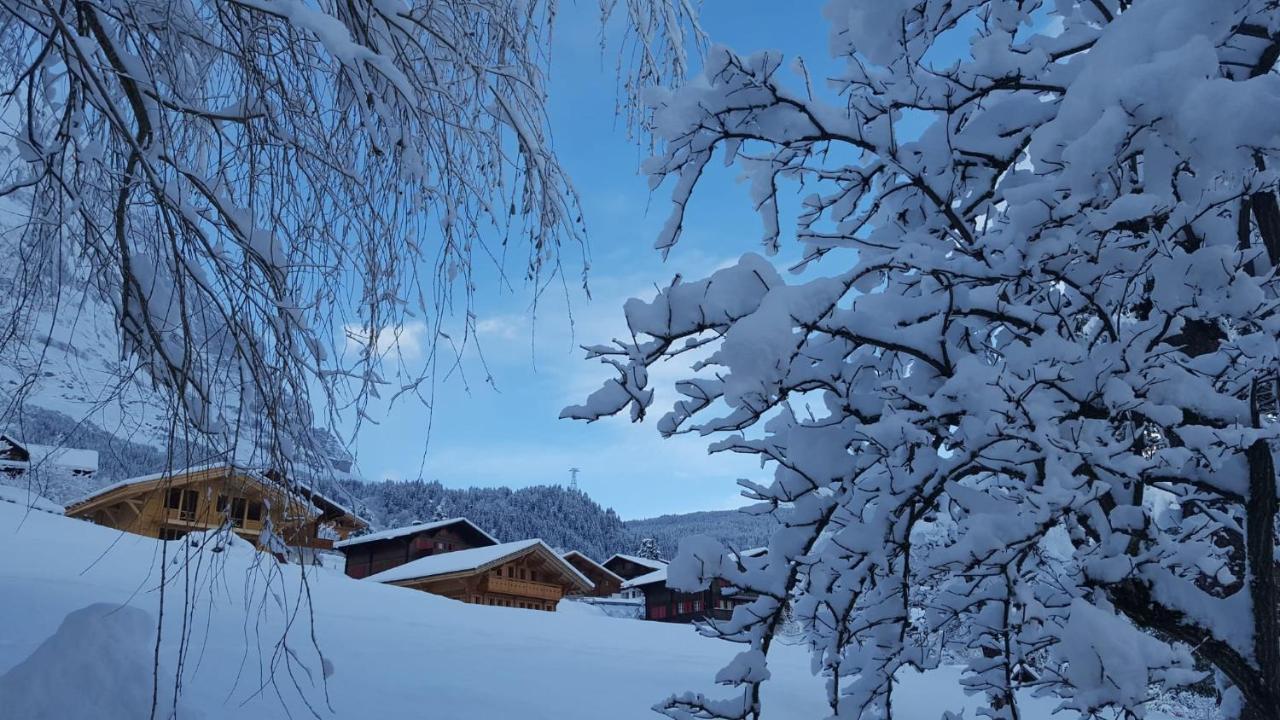 Chalet Waergistal Grindelwald Eksteriør bilde