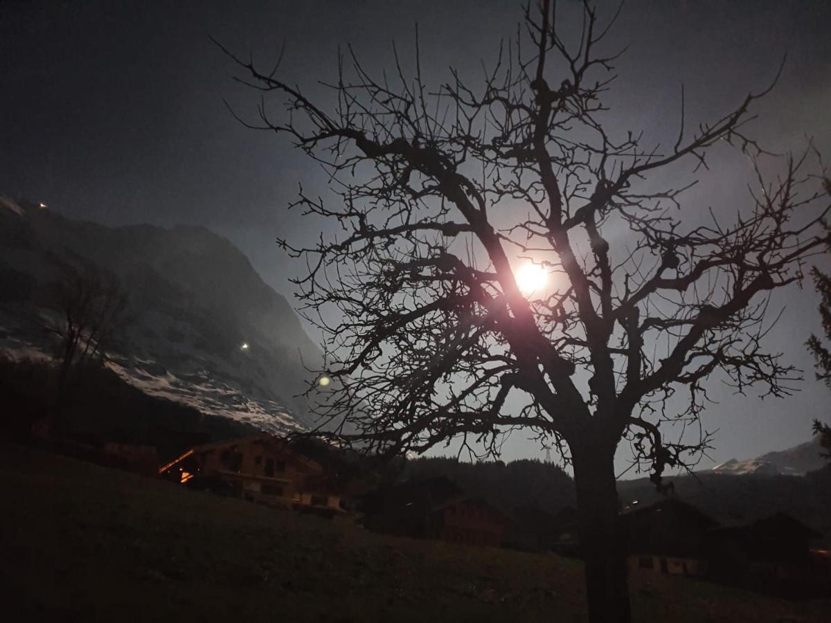Chalet Waergistal Grindelwald Eksteriør bilde