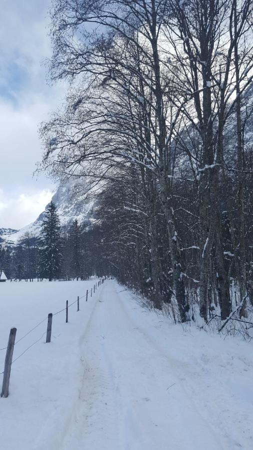 Chalet Waergistal Grindelwald Eksteriør bilde